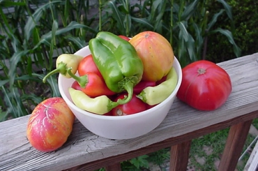 Online Plant Sale Opens April 19