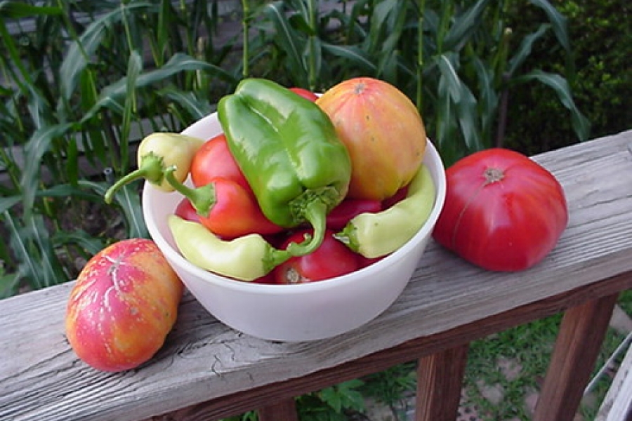 Online Plant Sale Opens April 19