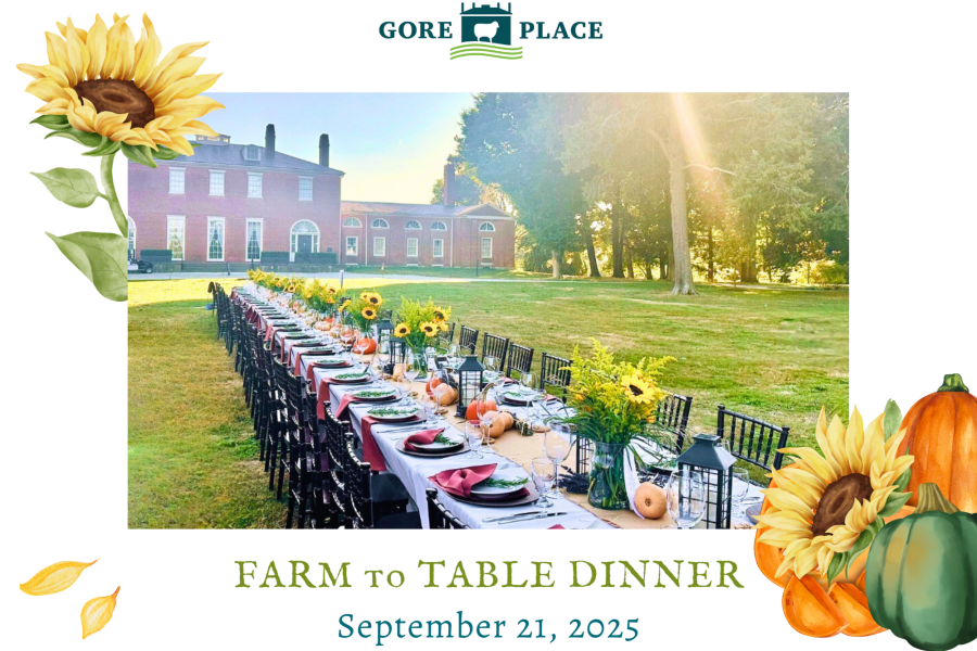 Farm to Table Dinner