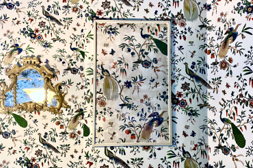 Birds of Paradise Wallpaper photo