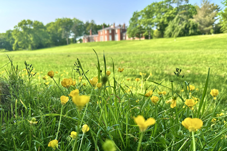 Gore Place Executive Director to Retire in December