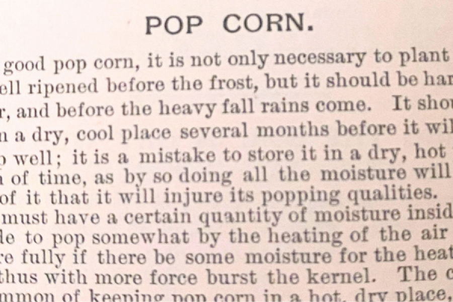 Origins of Popcorn